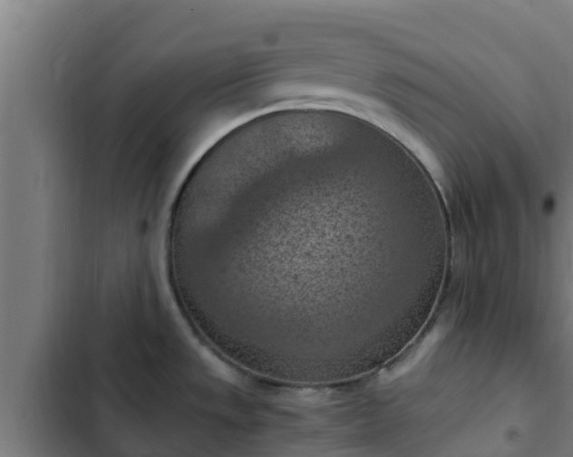 X0000103141533200808291327