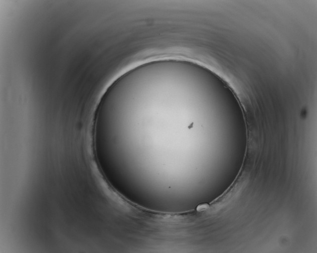 X0000103141534200808291327