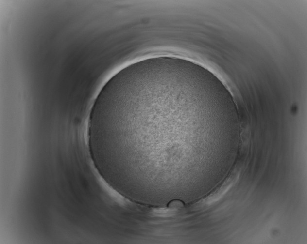 X0000103141535200808291327