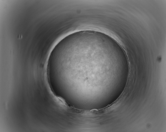 X0000103141536200808291327