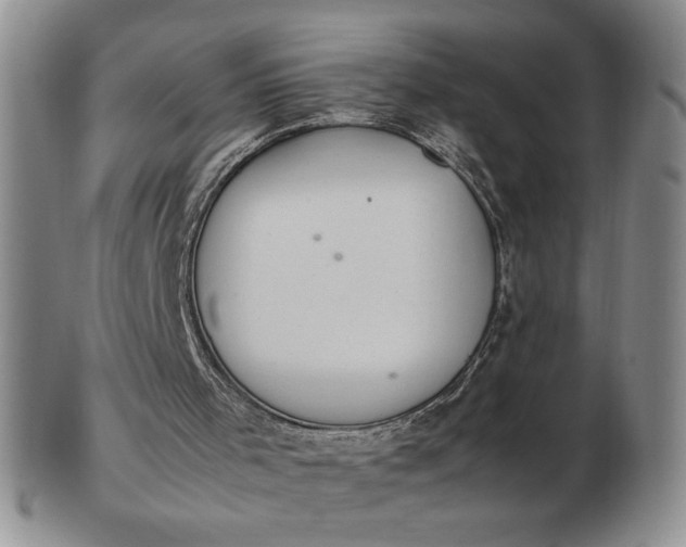 X0000103140001200809051625