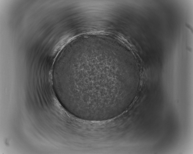 X0000103140002200809051625