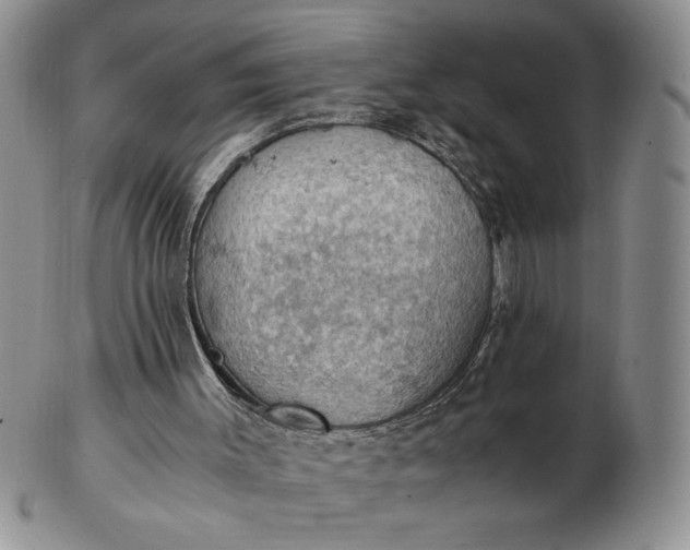 X0000103140003200809051625