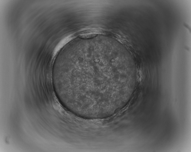 X0000103140004200809051625