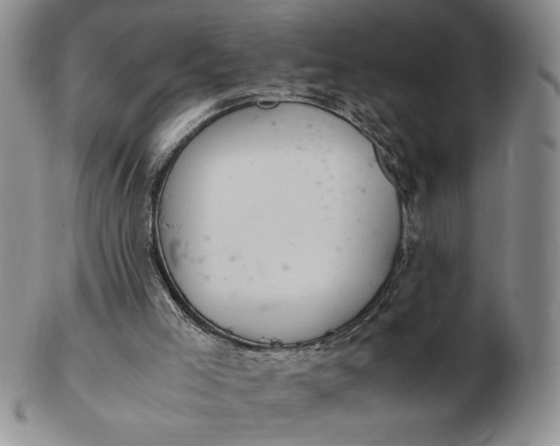 X0000103140005200809051625