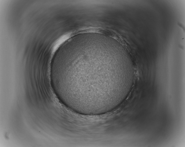 X0000103140006200809051625