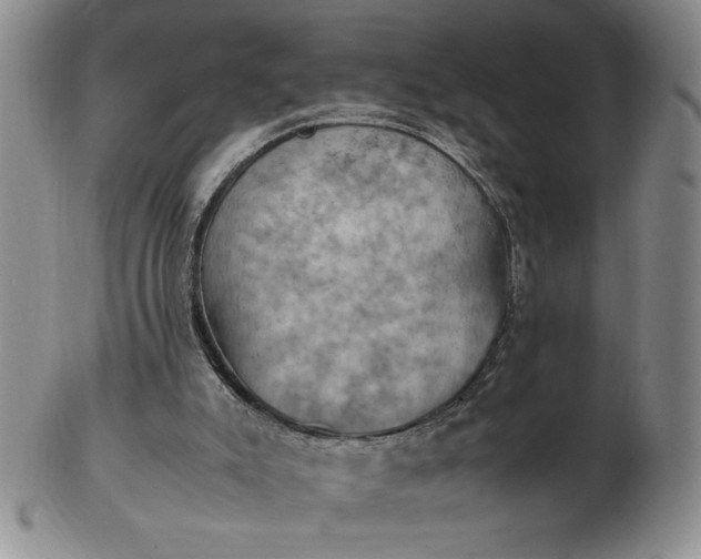 X0000103140007200809051625