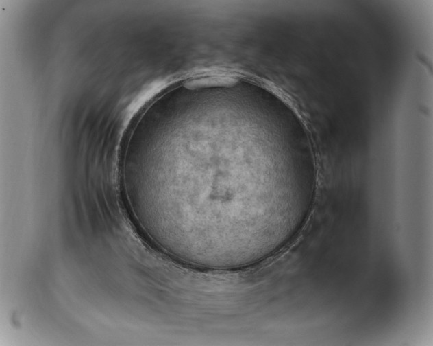 X0000103140008200809051625