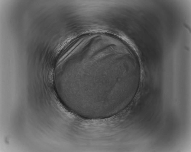 X0000103140009200809051625