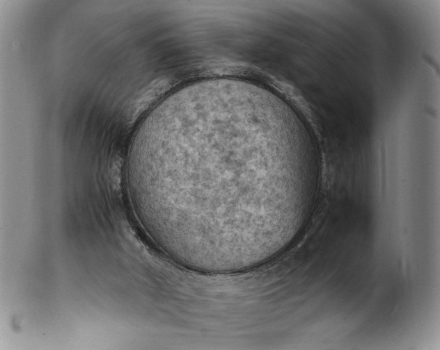 X0000103140010200809051625