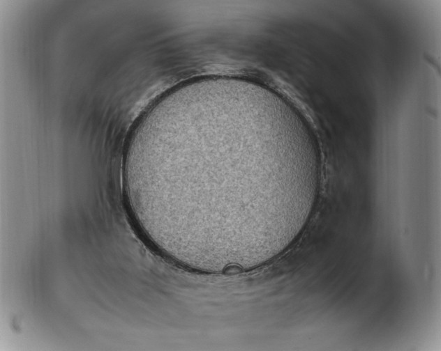 X0000103140011200809051625