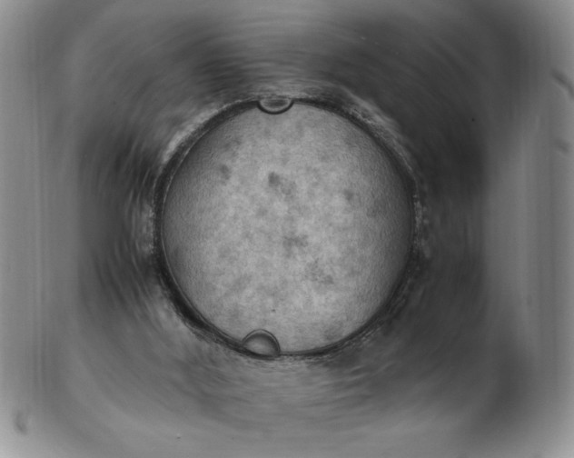 X0000103140012200809051625