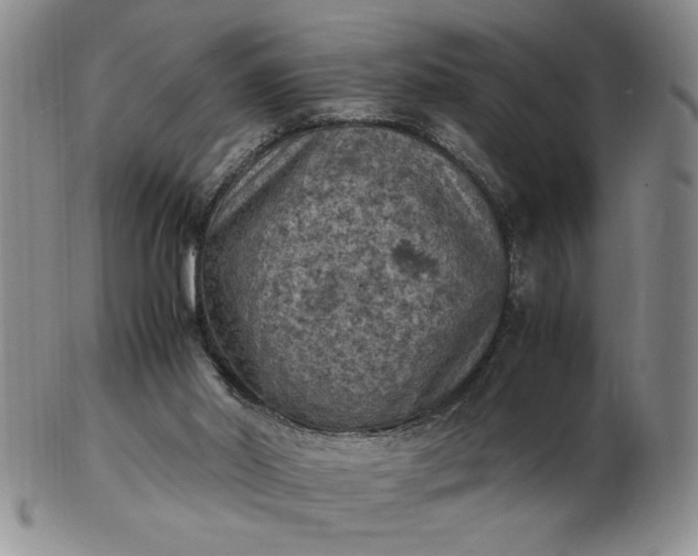 X0000103140014200809051625