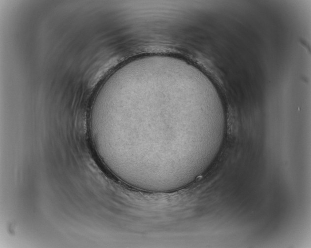 X0000103140015200809051625