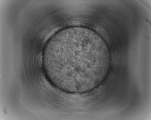 X0000103140016200809051625