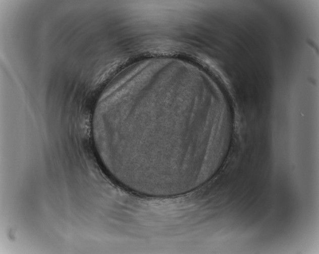 X0000103140017200809051625