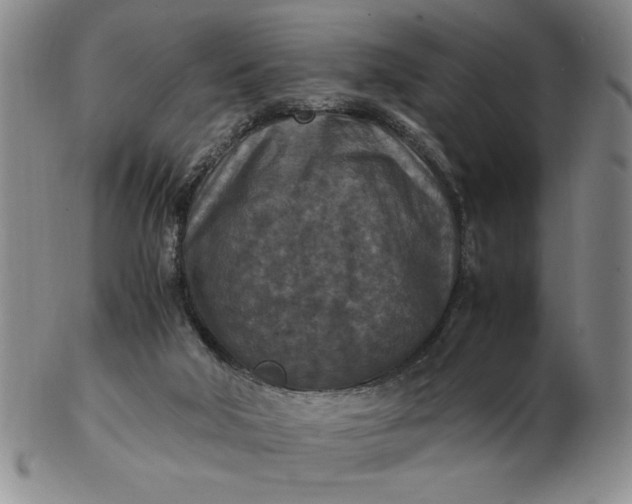 X0000103140018200809051625