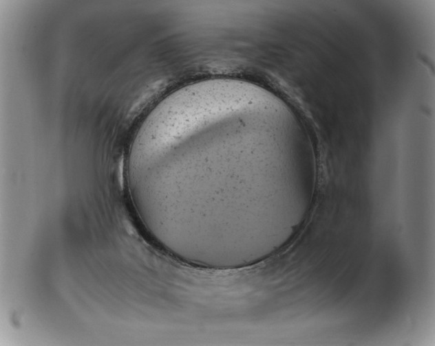 X0000103140019200809051625