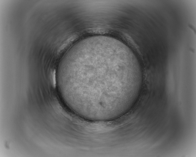 X0000103140020200809051625