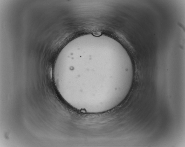 X0000103140021200809051625