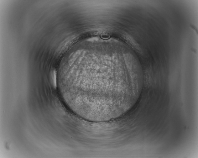 X0000103140022200809051625