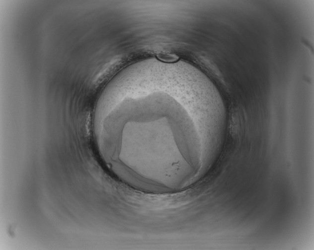 X0000103140023200809051625