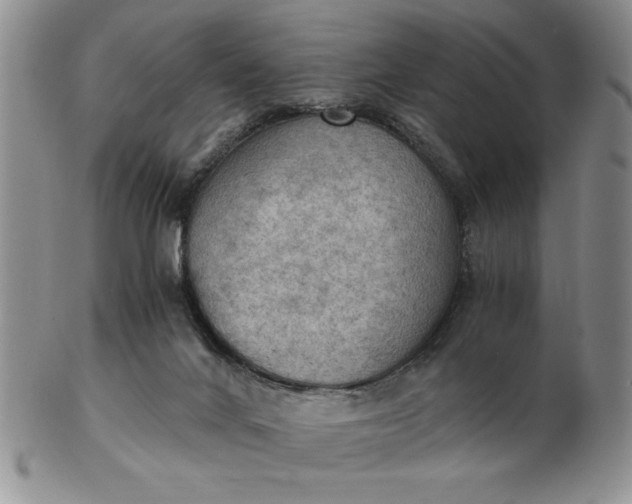 X0000103140024200809051625