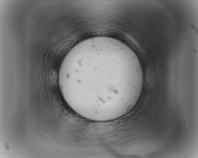 X0000103140025200809051625