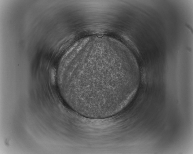 X0000103140026200809051625