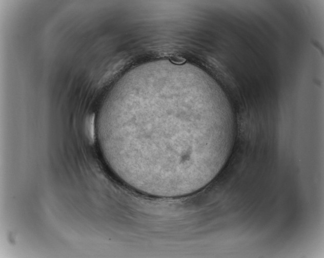 X0000103140028200809051625