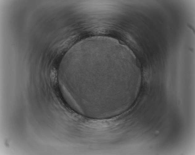 X0000103140029200809051625