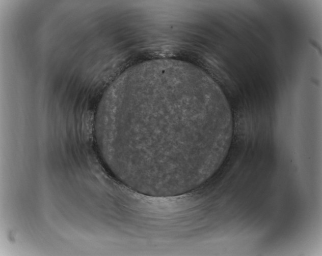 X0000103140030200809051624