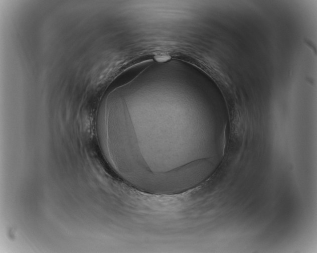 X0000103140031200809051624