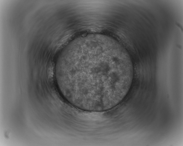 X0000103140032200809051624