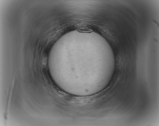 X0000103140033200809051624