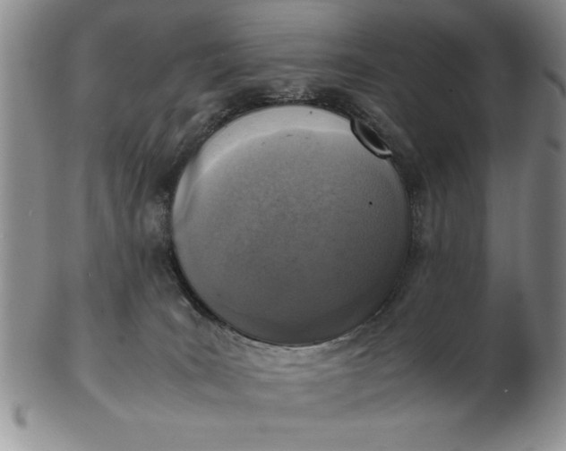 X0000103140035200809051624