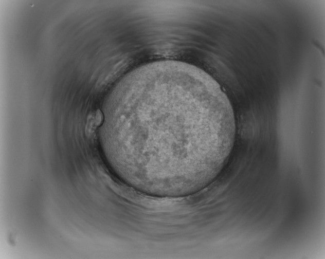 X0000103140036200809051624