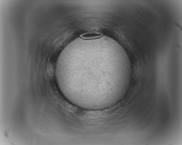 X0000103140037200809051624