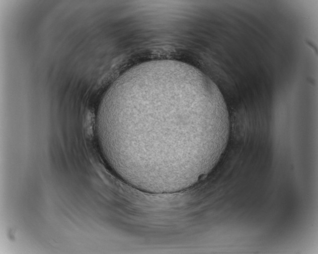 X0000103140038200809051624