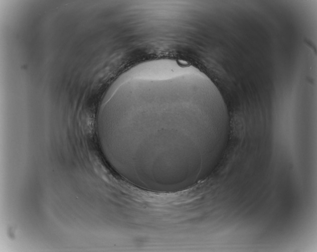 X0000103140039200809051624