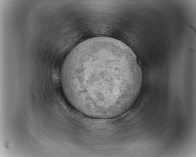 X0000103140040200809051624