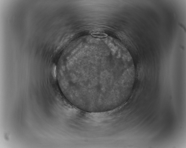 X0000103140041200809051624