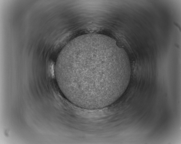 X0000103140042200809051624