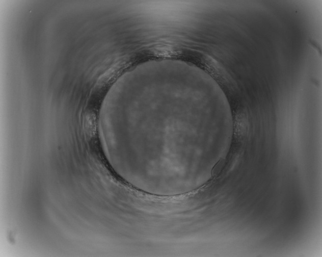 X0000103140043200809051624