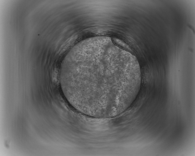 X0000103140044200809051624