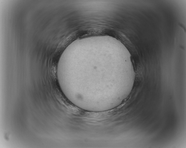 X0000103140045200809051624