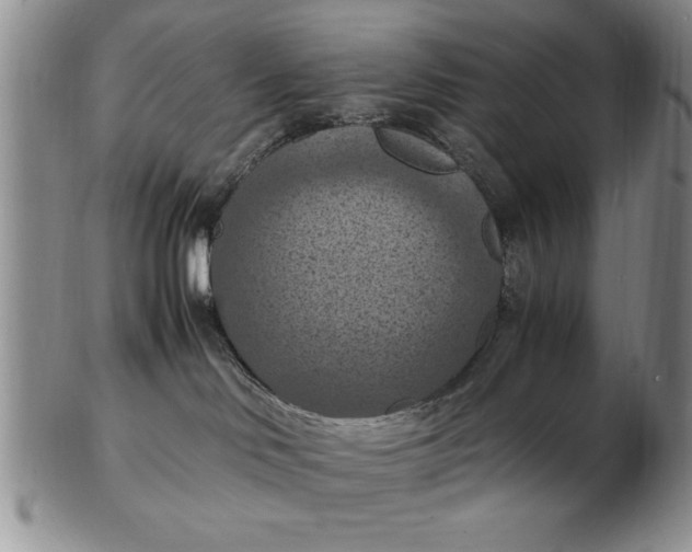 X0000103140046200809051624