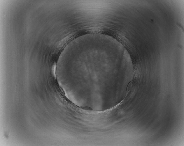 X0000103140047200809051624