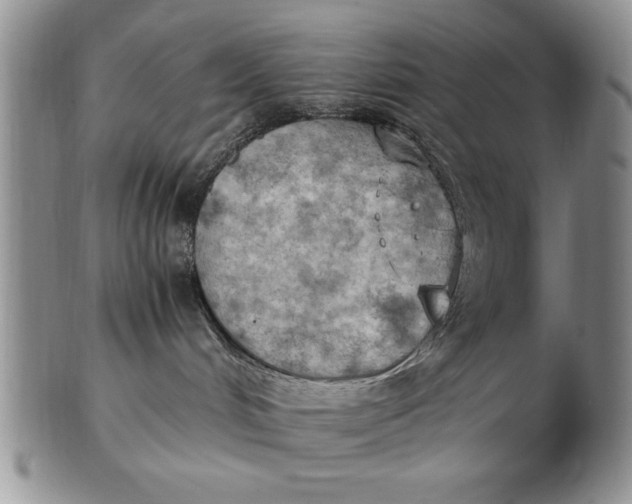 X0000103140048200809051624