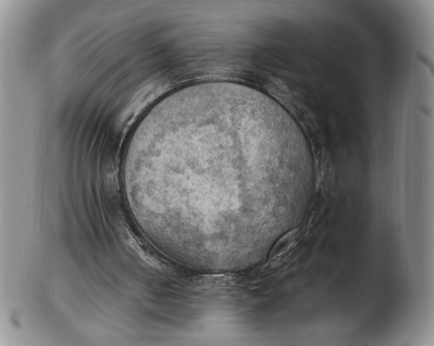 X0000103140050200809051623